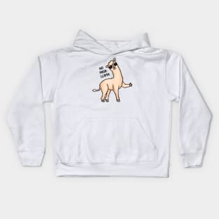 No Probllama Kids Hoodie